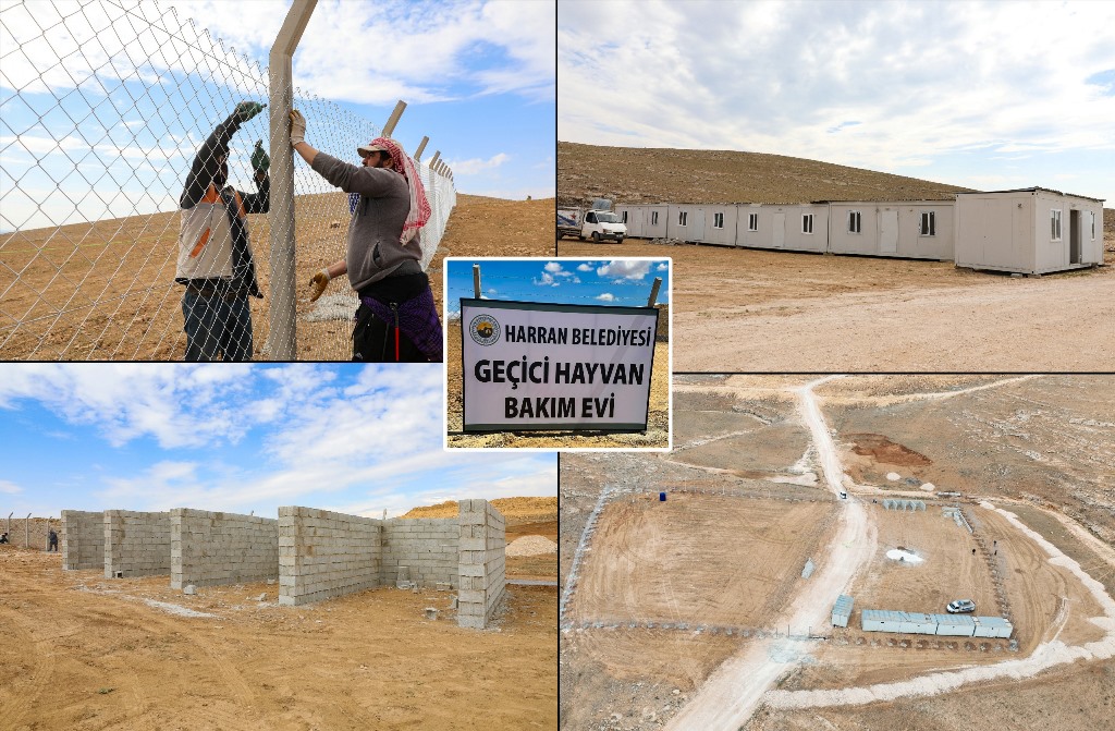 HARRAN BELEDİYESİ HAYVAN BAKIM EVİ VE DOĞAL YAŞAM ALANI İNŞA EDİYOR